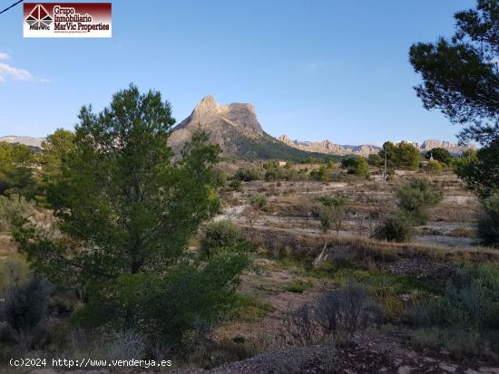 Parcela en Finestrat - ALICANTE