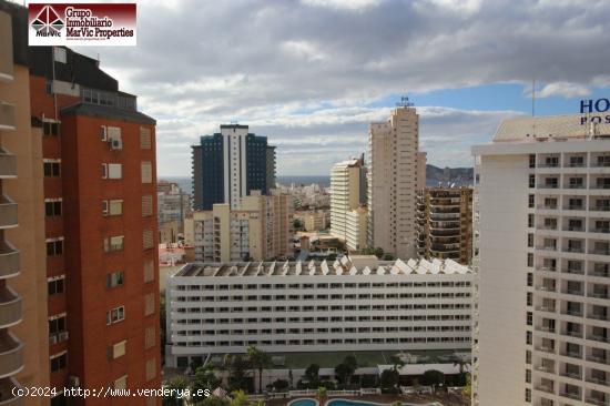 Duplex  con vistas al mar en Benidorm en 400 metros de la playa Levante - ALICANTE