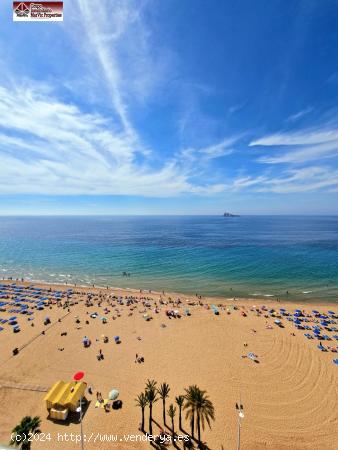 Piso en Benidorm 1a linea Levante - ALICANTE