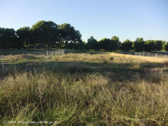 Parcela en primera linea del campo de golf Escorpion - VALENCIA