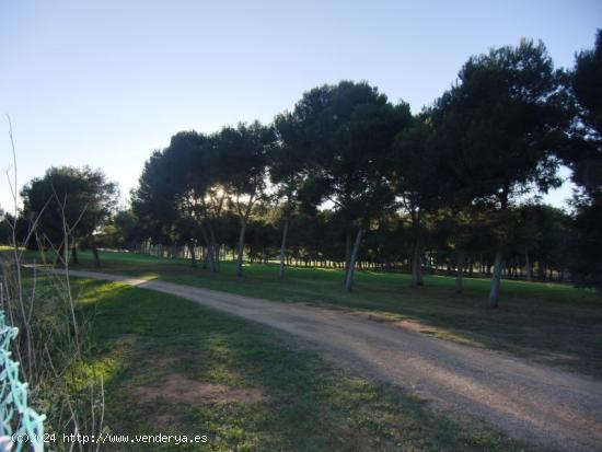 Parcela en primera linea del campo de golf Escorpion - VALENCIA