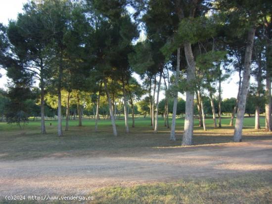 Parcela en primera linea del campo de golf Escorpion - VALENCIA