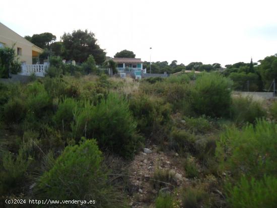 Parcela urbana en zona totalmente urbanizada con vistas - VALENCIA