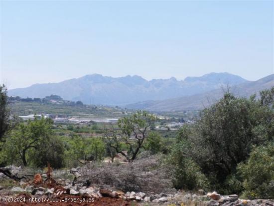 Parcela Rústica apta para la construcción de una vivienda unifamiliar en 2 plantas - ALICANTE