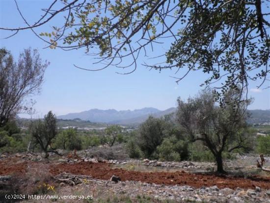 Parcela Rústica apta para la construcción de una vivienda unifamiliar en 2 plantas - ALICANTE