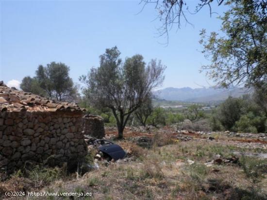 Parcela Rústica apta para la construcción de una vivienda unifamiliar en 2 plantas - ALICANTE