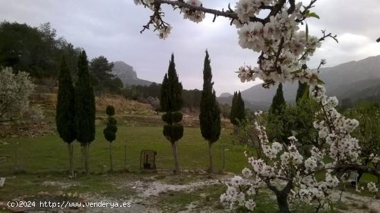 Parcela en Benissa partida Viniyent - ALICANTE