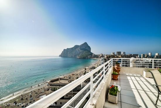 Impresionante Atico Duplex - ALICANTE