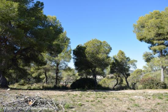 Terreno urbano 4247 m2  una o dos unifamiliares o 4 pareadas - BARCELONA