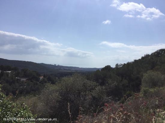 GRAN TERRENO rustico CON DIFERENTES PARCELAS - BARCELONA