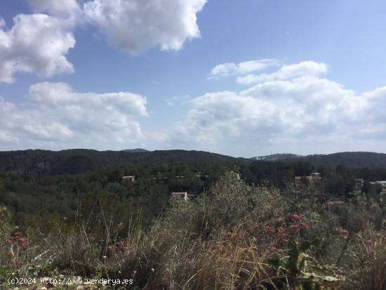 GRAN TERRENO rustico CON DIFERENTES PARCELAS - BARCELONA