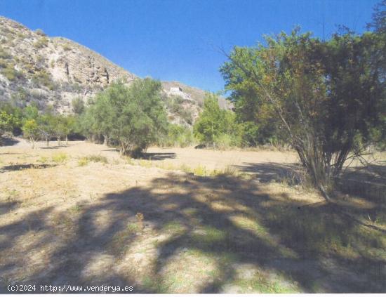 MAGNIFICA FINCA RUSTICA EN JORAIRATAR (UGIJAR) - GRANADA