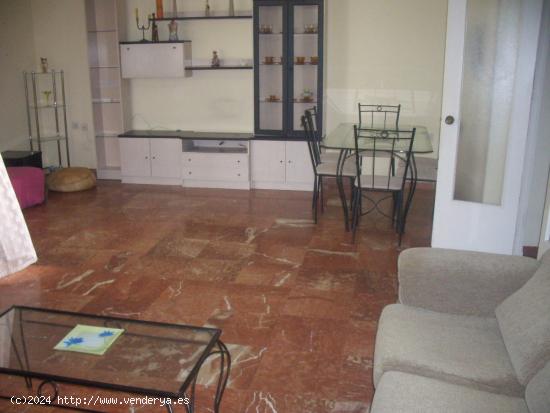  MAGNIFICO PISO CENTRICO EN VENTA CON AMPLIA TERRAZA. - ALMERIA 