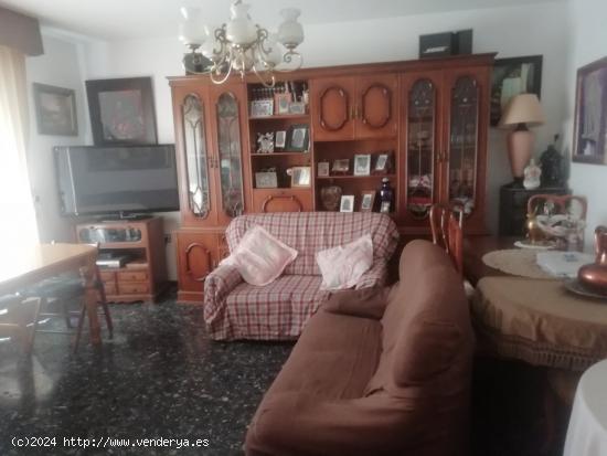 Gran Casa duplex en venta en Adra - ALMERIA