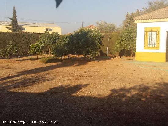 PARCELA RÚSTICA EN LA ZONA DEL HIGUERON - CORDOBA