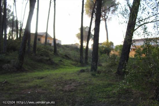 TERRENO URBANO EN LA URBANIZACIÓN DE LAS JARAS, CÓRDOBA!!! - CORDOBA