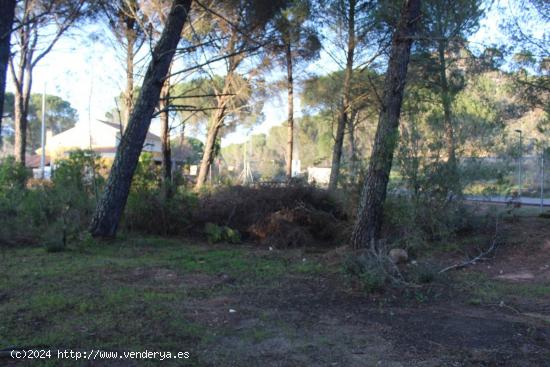 TERRENO URBANO EN LA URBANIZACIÓN DE LAS JARAS, CÓRDOBA!!! - CORDOBA