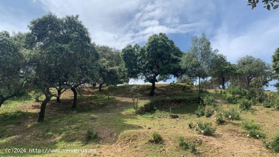 MARAVILLOSO TERRENO EN LA SIERRA DE CORDOBA - CORDOBA