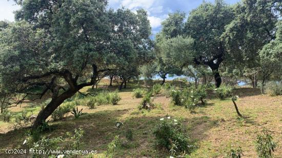 MARAVILLOSO TERRENO EN LA SIERRA DE CORDOBA - CORDOBA