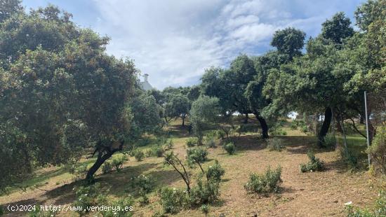 MARAVILLOSO TERRENO EN LA SIERRA DE CORDOBA - CORDOBA