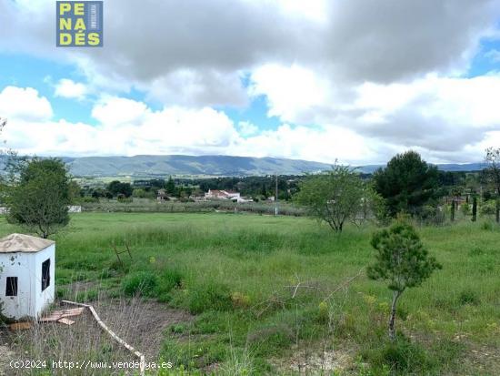 PARCELA A 1 KM DE LA URBANIZACION EL PILAR. EXCELENTES VISTAS. - VALENCIA