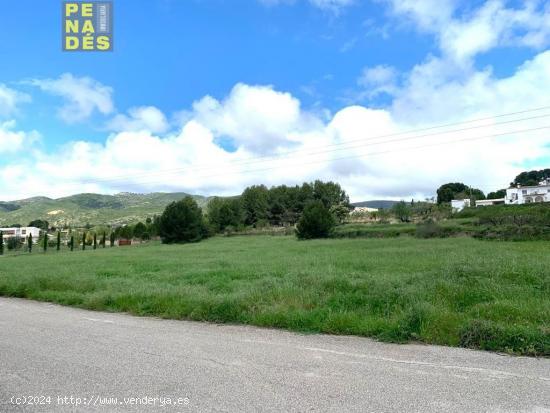 PARCELA A 1 KM DE LA URBANIZACION EL PILAR. EXCELENTES VISTAS. - VALENCIA