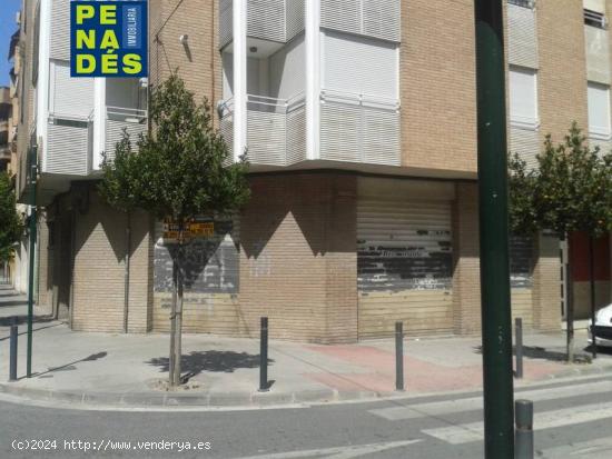 CERCA PLAZA PRINCIPAL. - VALENCIA