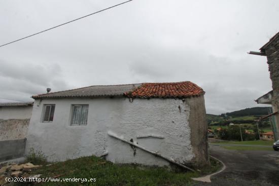 ADOSADA EN AJO - CANTABRIA