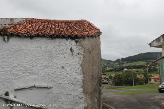 ADOSADA EN AJO - CANTABRIA