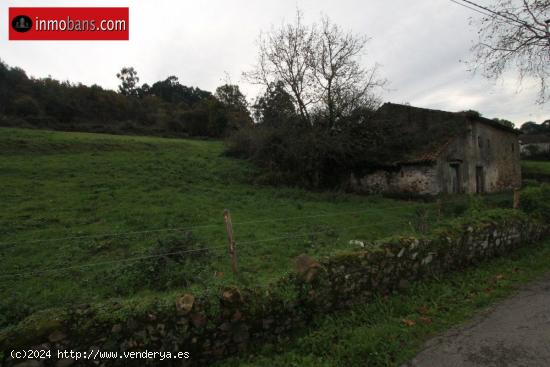 CASA DE PUEBLO CON TERRENO RUSTICO AGRARIO - CANTABRIA