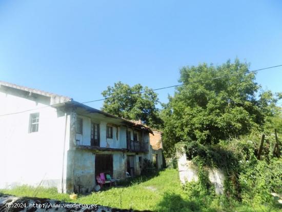 ESTUPENDO CONJUNTO DE TRES CASAS PARA REFORMAR EN ESCALANTE - CANTABRIA