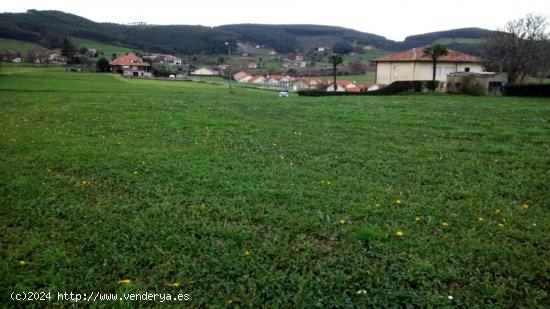 LO QUE ESTABAS BUSCANDO TIENE UN NOMBRE....GÜEMES - CANTABRIA