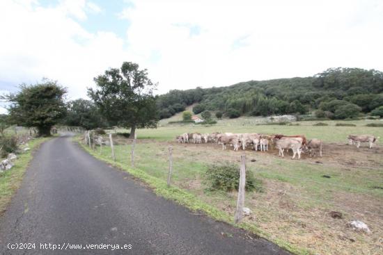 parcela rustica con una construcción de 114m2 - CANTABRIA