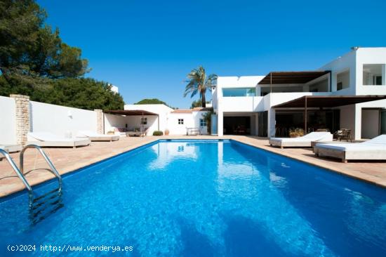 Espectacular parcela para edificar chalet, a 3 minutos del Carrefour de Petrer - ALICANTE