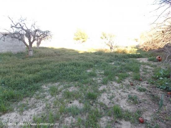 CHALET PARA REFORMAR JUNTO AL CASCO URBANO DE ELDA - ALICANTE