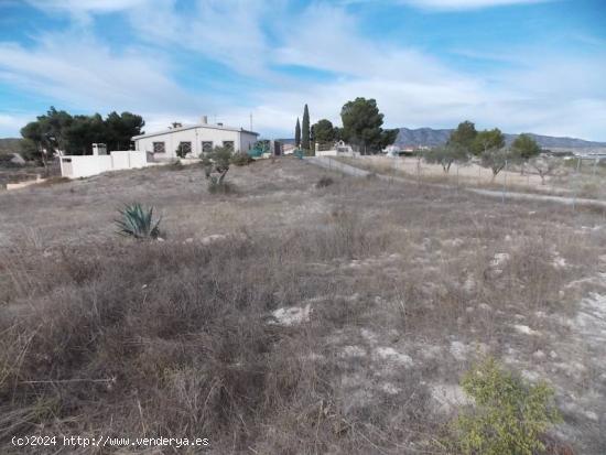 Parcela Situada en Monóvar, muy cerca del Casco Urbano, para edificar - ALICANTE