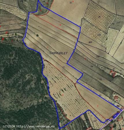 TERRENO RÚSTICO DE  MÁS DE 100.000 METROS  EN LA ZONA DEL CHINORLET DE MONOVER - ALICANTE