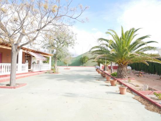 CASA DE CAMPO CON PISTA DE FRONTÓN, PISCINA Y MÁS DE 12000 METROS DE TERRENO EN SAX - ALICANTE