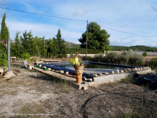 CASERIO PARA REFORMAR CON PISCINA EN LA ZONA CARRETERA MONÓVAR SALINAS - ALICANTE