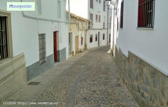 VENTA DE LOCAL COMERCIAL EN EL CASCO ANTIGUO - CADIZ