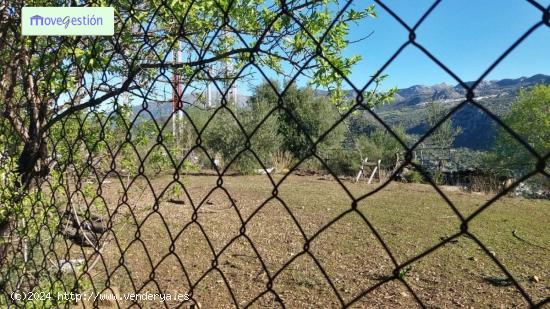 ZONA LAS CUMBRES - CADIZ