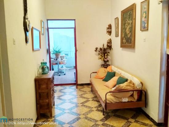 VENTA DE PISO ZONA AVENIDA DE CÁDIZ - CADIZ