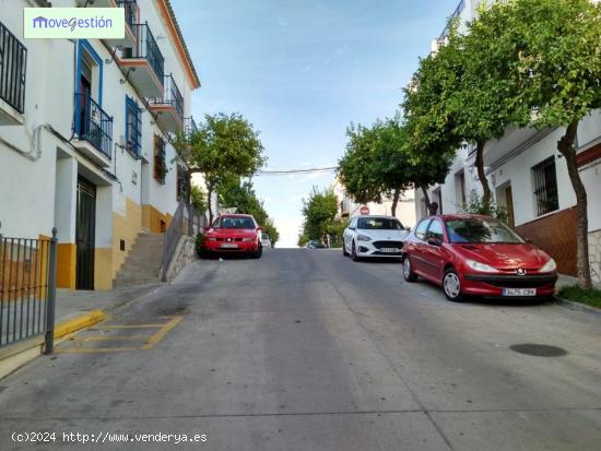 LOCAL COMERCIAL EN ZONA CENTRO - PRADO DEL REY - CADIZ