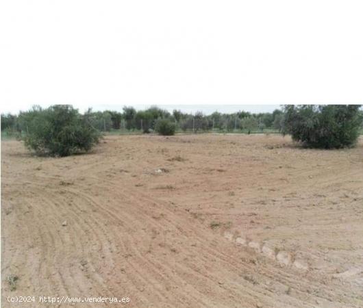 PARCELA 1400 m2  ZONA VENTA EL PINO  - SEVILLA