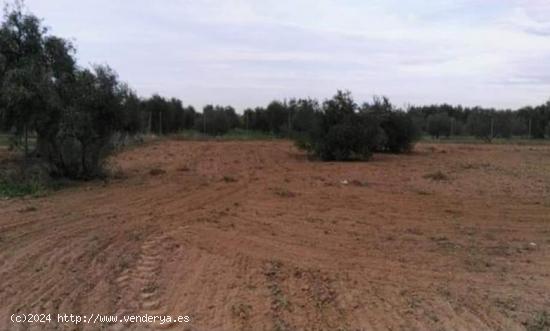 PARCELA 1400 m2  ZONA VENTA EL PINO  - SEVILLA