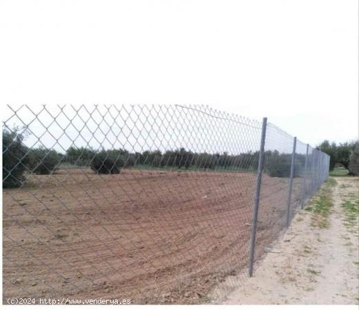 PARCELA 1400 m2  ZONA VENTA EL PINO  - SEVILLA