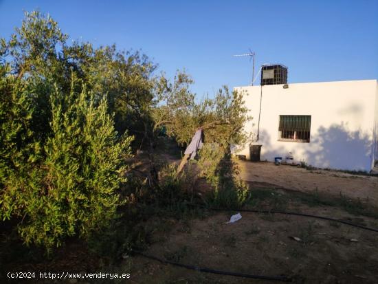 CHALET EN VENTA EL MONJE - SEVILLA