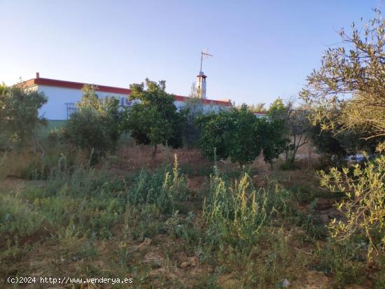 CHALET EN VENTA EL MONJE - SEVILLA