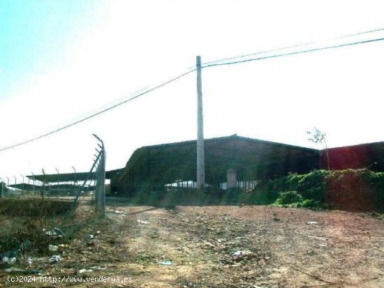 TERRENO EN MARCHENA, CARRETERA DE LA PUEBLA - SEVILLA