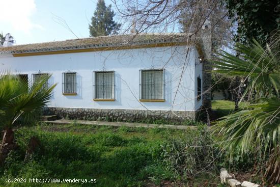 CHALET  CTRA. LA PUEBLA , 1.918 M2. PARCELA, VIVIENDA DE 91 M2. CONSTRUIDOS, PISCINA - SEVILLA